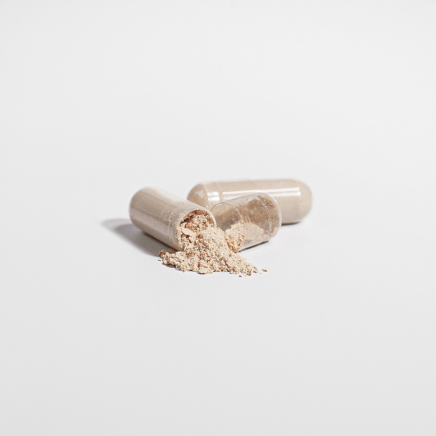 Focus & Ease (Lion's Mane)